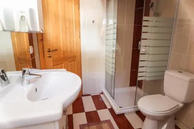 a bathroom with a toilet and a sink and a shower at EkoTurizem Viženčar in Cerklje na Gorenjskem