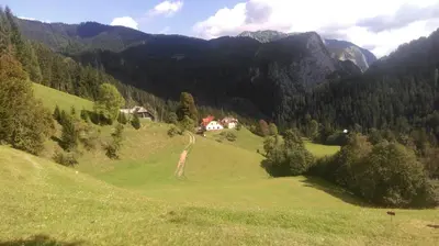 a house on a hill in a green field at Tourist farm Gradišnik in Solčava
