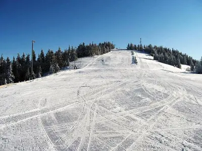 a snow covered hill with ski tracks in the snow at Apartments Lovšin in Mozirje