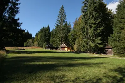 a large grass field with a house and trees at Fikfak cottage in Bled