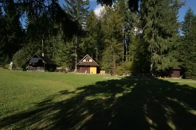 a large shadow of a tree on a field at Fikfak cottage in Bled