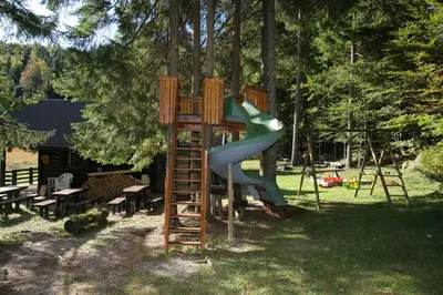 a playground with a slide on a tree at Fikfak cottage in Bled