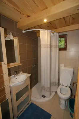 a bathroom with a toilet and a sink and a shower at Fikfak cottage in Bled