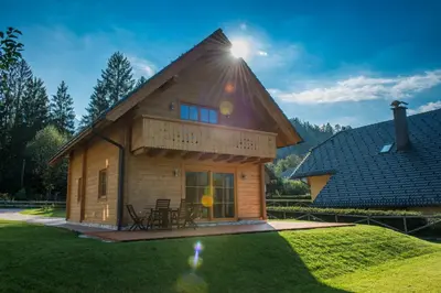 a log cabin with a gambrel roof at Brunarica Murka in Bohinj