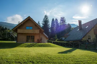 a house with a grass yard in front of a house at Brunarica Murka in Bohinj