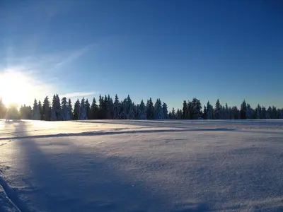 a snow covered field with the sun in the background at Apartments Rogla in Zreče