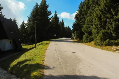 an empty road with trees on the side of it at Apartments Rogla in Zreče