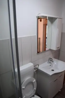 a bathroom with a toilet and a sink and a mirror at Tourist farm Samec in Sele