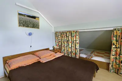 a bedroom with a large bed and a window at Tourist Farm Ferencovi in Cankova