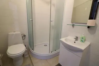 a bathroom with a toilet and a shower and a sink at Guesthouse Veles in Slovenska Bistrica