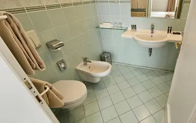a bathroom with a toilet and a sink at Grand Hotel Rogaška Premium in Rogaška Slatina