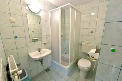 a bathroom with a toilet and a sink and a shower at Apartments Kozjanski park in Podsreda