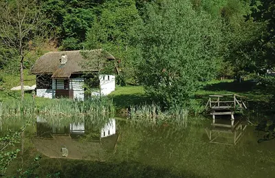 an old house and a picnic table and a pond at Apartments Kozjanski park in Podsreda
