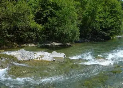 a river with rocks in the water and trees at Farm Stay Loger in Ljubno