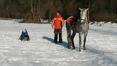 a man standing next to a horse in the snow at Farm Stay Loger in Ljubno