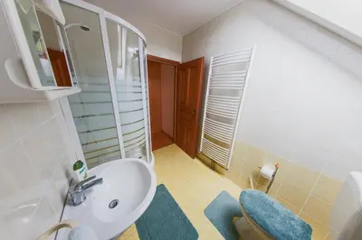 a bathroom with a white sink and a toilet at Farm Stay Loger in Ljubno