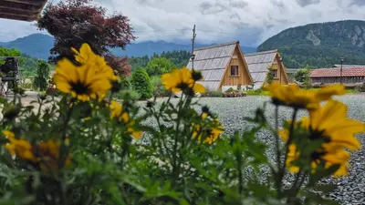a field of yellow flowers in front of a house at Garden ECO houses Čebelica in Bohinj
