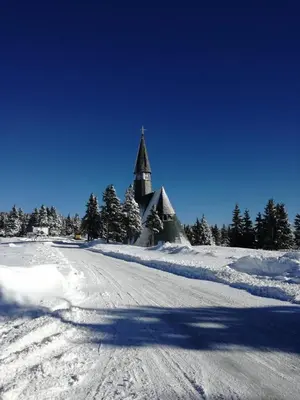 a church in a snow covered field with trees at Apartma David Rogla in Zreče