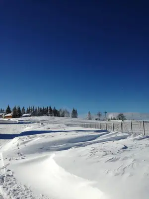 a field covered in snow with a fence and trees at Apartma David Rogla in Zreče