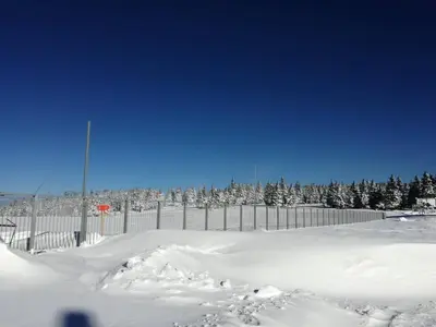 a fence covered in snow with trees in the background at Apartma David Rogla in Zreče