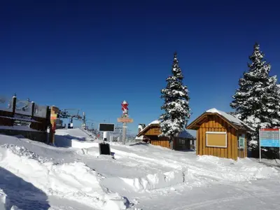 two christmas trees in the snow next to a cabin at Apartma David Rogla in Zreče