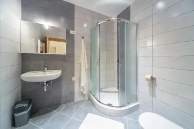 a bathroom with a shower and a sink and a toilet at Apartments SHISHKA in Ljubljana