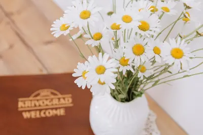 a white vase filled with white flowers on a table at Gostišče Krivograd in Prevalje