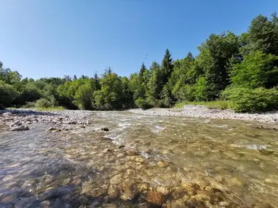 a river with rocks and trees in the background at 7th Mill apartments in Kranj
