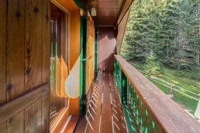 a wooden balcony of a train with a view of trees at Chalet Trzinka - Triglav National Park in Goreljek