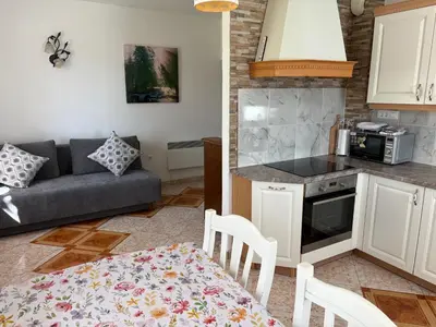 a kitchen and living room with a couch and a table at Apartments Nina in Bled