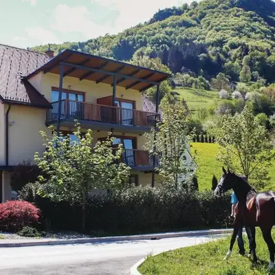 Beautiful Apartment In Lasko With Wifi