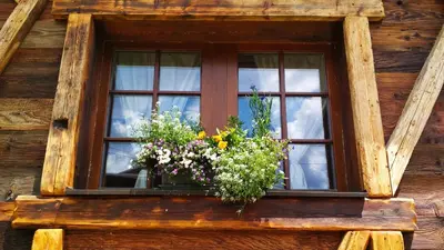 a window with a bunch of flowers in it at Country house Dovje in Dovje