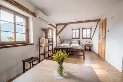 a room with a vase of flowers on a table at Country house Dovje in Dovje