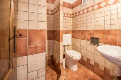 a bathroom with a toilet and a sink at Country house Dovje in Dovje