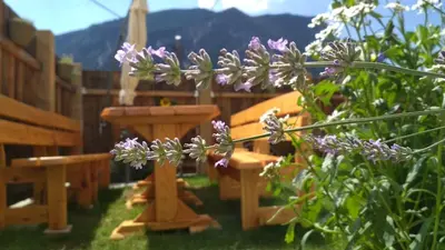 a garden with wooden benches and purple flowers at Country house Dovje in Dovje