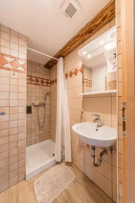a bathroom with a sink and a shower at Country house Dovje in Dovje