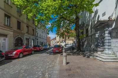 a street with cars parked on the side of the road at Barrio Alto in Ljubljana