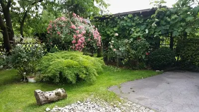 a garden with pink flowers and bushes in a yard at Apartment Tatjana in Ljubljana