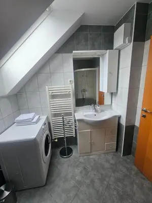 a bathroom with a sink and a washing machine at Apartmaji Mlinar in Kranjska Gora