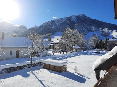 a snow covered yard with a mountain in the background at Apartmaji Mlinar in Kranjska Gora