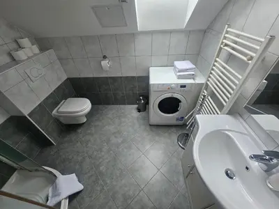 a bathroom with a toilet sink and a washing machine at Apartmaji Mlinar in Kranjska Gora