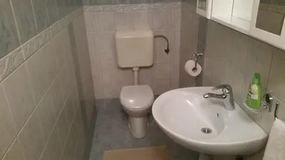 a small bathroom with a sink and a toilet at Apartment Beks in Postojna