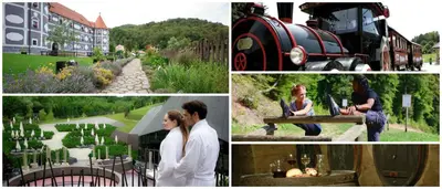 a collage of photos of a couple in a garden at Čebelarjeva hiška 1 - Terme Olimia - Podčetrtek in Podčetrtek