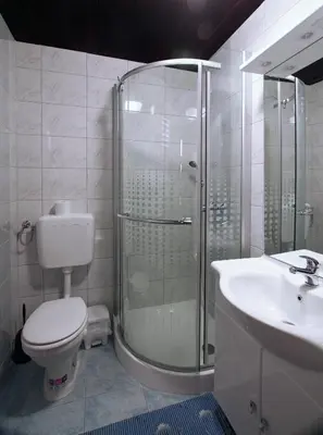 a bathroom with a shower and a toilet and a sink at Čebelarjeva hiška 1 - Terme Olimia - Podčetrtek in Podčetrtek