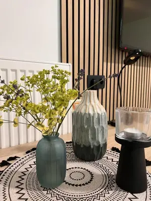 two vases sitting on top of a table at Prenočišča Mraz in Velenje