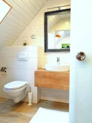 a bathroom with a toilet and a sink and a mirror at Prenočišča Mraz in Velenje
