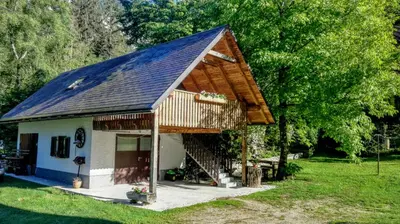 a small house with a gambrel roof at Apartments and rooms Kravanja in Trenta