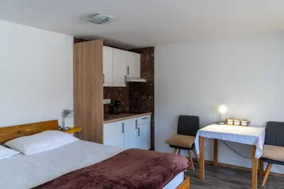 a room with a bed and a table and a kitchen at Apartments Ema in Podčetrtek