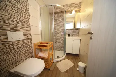 a small bathroom with a toilet and a shower at Danijela & Gregor in Rateče