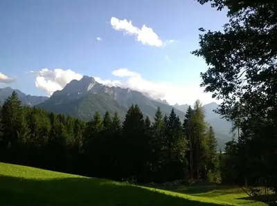 a green field with trees and mountains in the background at Danijela & Gregor in Rateče